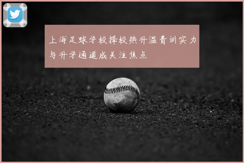 上海足球学校择校热升温青训实力与升学通道成关注焦点