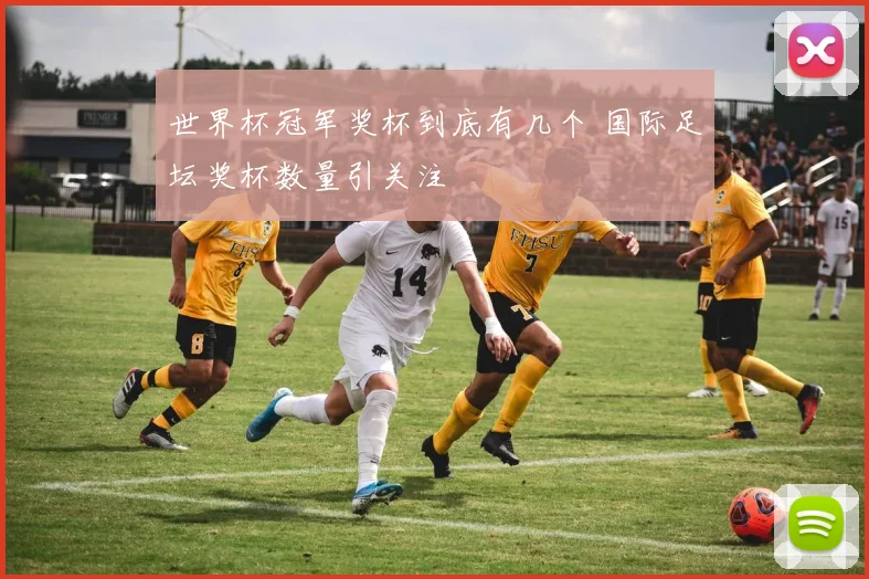 世界杯冠军奖杯到底有几个 国际足坛奖杯数量引关注